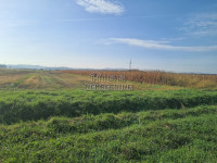 Poljoprivredno zemljište, Jakopovec, 2602 m2