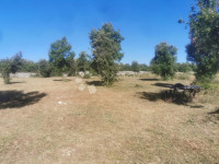 Poljoprivredno zemljište u Kavranu