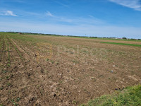 Poljoprivredno zemljište kod Čepina 7023 m2