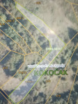 Poljoprivredno zemljište, Kokočak, 20000 m2