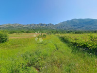 POLJOPRIVREDNO ZEMLJIŠTE - KONAVLE