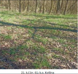 Poljoprivredno zemljište, Kotlina, 2.003,00 m2