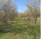 Poljoprivredno zemljište, Kotlina, 4303 m2