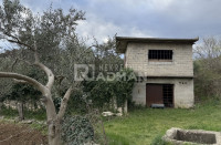 Poljoprivredno zemljište s kućicom i gustirnom;Kaštel Novi,14418 m2