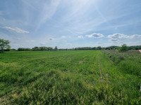 Poljoprivredno zemljište, Lipovec Lonjski, 26380 m2