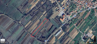 Poljoprivredno zemljište / Maslinik, Polača, 2795 m2