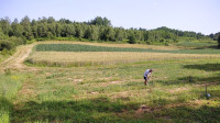 Poljoprivredno zemljište, Mateško Selo, 10626 m2