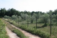 Poljoprivredno zemljište, Medulin, 2937 m2