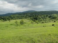 Poljoprivredno zemljište: Modruš, 10 hektara