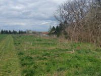 Poljoprivredno zemljište, Mursko Središće, 2886 m2