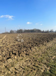 Poljoprivredno zemljište  nedaleko autoceste izlaza Rugvica