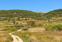 Poljoprivredno zemljište, Novalja, 2357 m2, makadam, Novaljsko polje