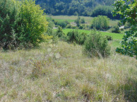 Poljoprivredno zemljište u okolici Butonige