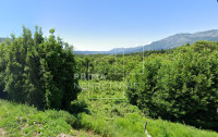 Konavle, Palje brdo, poljoprivredno zemljište, 11.776 m2