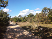 Poljoprivredno zemljište, Poljica, 10000 m2