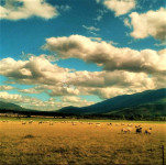 Poljoprivredno zemljište s potencijalom