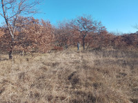 Poljoprivredno zemljište pov. 2124 m2, Islam Grčki