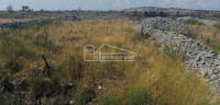 .::: Poljoprivredno zemljište površine 1.754m2 kod Rasline :::.