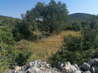 .::: Poljoprivredno zemljište površine 2.907m2 blizu Pirovca :::.