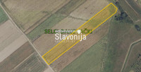 Poljoprivredno zemljište uz pristupni put [Selci Đakovački]