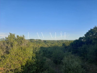 POLJOPRIVREDNO ZEMLJIŠTE, PRODAJA, ROVINJSKO SELO, 50.036 m2