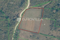 Poljoprivredno zemljište, Rovinjsko Selo 8050m2