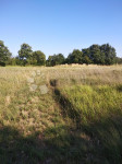 Poljoprivredno zemljište na rubu građevinske zone u okolici Žminja