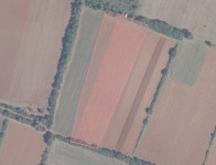 Poljoprivredno zemljište, Šišan, 7656 m2