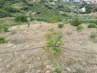 Poljoprivredno zemljište