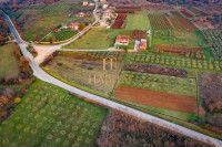 Poljoprivredno zemljište ŠTIFANIĆI 3300m2- 50 maslina