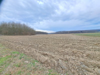 Poljoprivredno zemljište, Sv. Petar Čvrstec, 77,03 ha