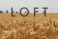 Poljoprivredno zemljište, Tompojevci, Čakovci, Berak 390000 m2