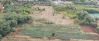 Poljoprivredno zemljište na Valdebeku