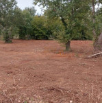 * VALTURA, LIŽNJAN – POLJOPRIVREDNO ZEMLJIŠTE 500 M² S PRISTUPNIM PUTO
