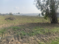 Poljoprivredno zemljište, Velika Kosnica, 5000 m2