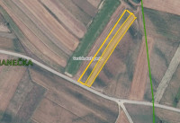 Poljoprivredno zemljište, Nova Ves Petrijanečka, 2782 m2