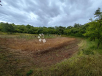 Poljoprivredno zemljište Vodnjan