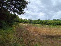 Poljoprivredno zemljište Vodnjan