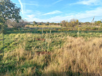 Poljoprivredno zemljište  - Vodnjan