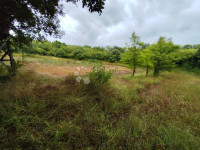 Poljoprivredno zemljište u Vodnjanu