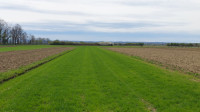 Poljoprivredno zemljište, Zagreb (Donji Čehi), 2800 m2