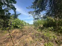 POLJOPRIVREDNO ZEMLJIŠZE DIVOSELO