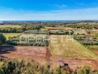 Poreč - atraktivno poljoprivredno zemljište s infrastrukturom i maslin