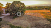 Poreč-Građevinsko zemljište na rubu urbanizma