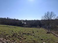 POREČ (okolica) - Građevinsko zemljište na mirnoj lokaciji