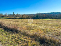 Poreč, okolica, građevinsko zemljište sa potencijalom!