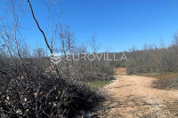 Istra, Poreč, poljoprivredno zemljište