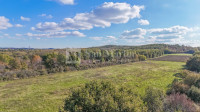 Poreč, Poljoprivredno zemljište 14.800 m2!!!