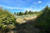 Poreč, Nova Vas - poljoprivredno zemljište u oazi mira