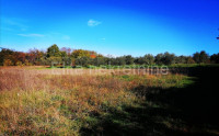 Poreč - prodaja poljoprivrednog zemljišta, 7500 m2